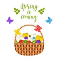 Wicker basket with spring and summer flowers, pansies, leaves and butterflies. The words Spring is coming. Bright, botanical color Royalty Free Stock Photo