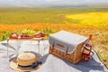 Wicker basket, straw hat, wine and small table with fruits and croissants on the meadow full of wildflowers. Spring or summer Royalty Free Stock Photo