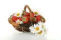 Wicker basket of strawberries with daisy