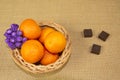 A wicker basket with tangerines and purple berries, three pieces of chocolate on a table covered with burlap.