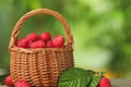 Wicker basket with tasty ripe raspberries and green leaves on blurred background, closeup. Space for text Royalty Free Stock Photo