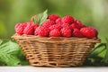 Wicker basket with tasty ripe raspberries and leaves on white table against blurred green background Royalty Free Stock Photo