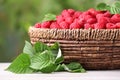 Wicker basket with tasty ripe raspberries and leaves on white wooden table against blurred green background, closeup Royalty Free Stock Photo