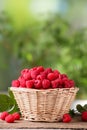 Wicker basket with tasty ripe raspberries and leaves on wooden table against blurred green background, space for text Royalty Free Stock Photo