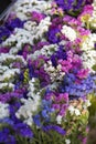 In a wicker basket variety of limonium sinuatum or statice salem flowers in pink, lilac, violet colors in garden shop.