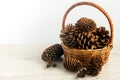 In a wicker small basket a variety of natural cones from conifers.