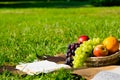 Wicker basket with various fruits on a picnic next to a book, on a plaid