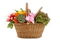 Wicker basket of vegetables