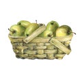 Wicker basket of veneer, filled with fresh green apples.