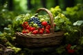 Wicker basket with with wild strawberries and grapes outdoors, forest background Royalty Free Stock Photo