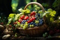 Wicker basket with with wild strawberries and grapes outdoors, forest background Royalty Free Stock Photo