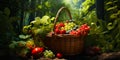 Wicker basket with with wild strawberries and grapes outdoors, forest background Royalty Free Stock Photo
