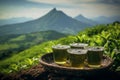 Wicker baskets overflowing with ceylon tea on a vibrant green tea plantation landscape Royalty Free Stock Photo