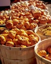 Wicker baskets of miniature pumpkins in white and orange