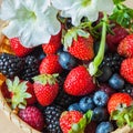 Wicker Bowl with a garden of colorful harvest berries, decorated flower petunia Royalty Free Stock Photo