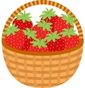 Wicker brown basket full of red strawberries