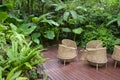 Wicker chair on backyard garden in the summer Royalty Free Stock Photo