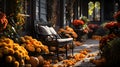 Porch of the backyard decorated with pumpkins and autumn flowers.