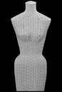 Wicker female mannequin front torso isolated