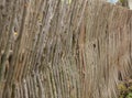 Wicker fence made of flexible wood willow or hazel . The texture of the trunk of a natural tree. The concept of suburban Royalty Free Stock Photo