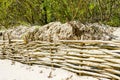 Wicker fences on the beach for the detention of sand movement and the reduction of man made effects Royalty Free Stock Photo