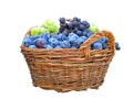 Wicker fruit basket with plums and grapes isolated over white ba Royalty Free Stock Photo