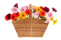 Wicker full with Gerber flowers Royalty Free Stock Photo