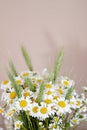 Wicker Handbag with Flowers Chamomile, Wooden Box, Summer Concep