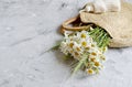 Wicker Handbag with Flowers Chamomile, Wooden Box, Summer Concep