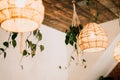 Wicker handmade chandelier lamps on the wooden ceiling, hanging flower pots with green plants on the white wall