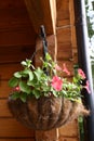 Wicker hung flower basket close up photo Royalty Free Stock Photo