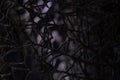 Wicker mesh of threads as a background with a soft blurred focus in the dark as a background ,abstract