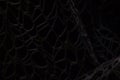 Wicker mesh of threads as a background with a soft blurred focus in the dark as a background ,abstract