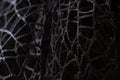 Wicker mesh of threads as a background with a soft blurred focus in the dark as a background ,abstract