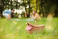 Wicker picnic basket with bottle of wine and bread on grass Royalty Free Stock Photo