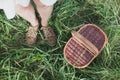 Wicker Picnic Basket On The Fresh Summer Grass Overhead View. Weekend Resting Concept Royalty Free Stock Photo