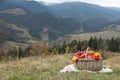 Wicker picnic basket with fruits, autumn leaves and plaid in mountains, space for text Royalty Free Stock Photo