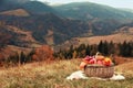 Wicker picnic basket with fruits, autumn leaves and plaid in mountains, space for text Royalty Free Stock Photo