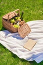 Wicker picnic basket with fruits and bottle of wine, cheese, croissants and book with blank cover Royalty Free Stock Photo