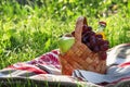 Wicker picnic basket with fruits and drinks on the rug, evening Royalty Free Stock Photo