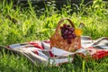 Wicker picnic basket with fruits and drinks on the rug, evening Royalty Free Stock Photo