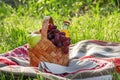 Wicker picnic basket with fruits and drinks on the rug, evening Royalty Free Stock Photo