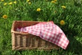 Wicker picnic basket with red and white checkered tablecloth on green grass and yellow dandelion flowers background. Summer picnic Royalty Free Stock Photo