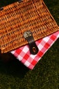 Wicker picnic basket with a red and white gingham cloth on grass Royalty Free Stock Photo