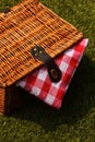 Wicker picnic basket with a red and white gingham cloth on grass Royalty Free Stock Photo