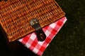 Wicker picnic basket with a red and white gingham cloth on grass Royalty Free Stock Photo