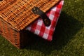 Wicker picnic basket with a red and white gingham cloth on grass Royalty Free Stock Photo