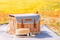 Wicker picnic basket and straw hat on the meadow full of bright yellow flowers, spring picnic Royalty Free Stock Photo