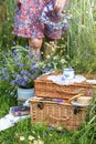 Wicker picnic suitcases with cup on it in wheat field and woman holding wreath of cornflowers and chamomile