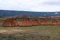 Wicker plantation fields in CaÃÂ±amares, Cuenca Royalty Free Stock Photo